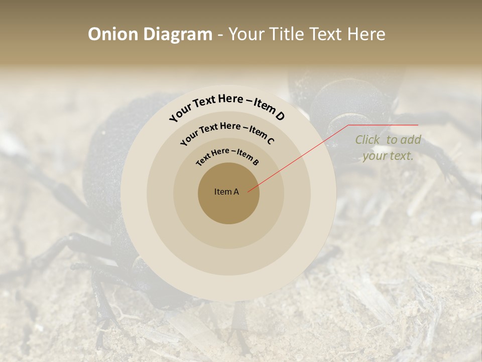 Wildlife Closeup Imago PowerPoint Template