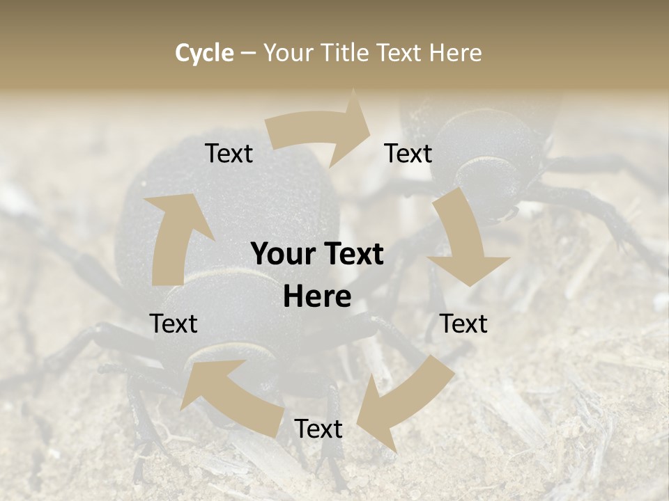 Wildlife Closeup Imago PowerPoint Template