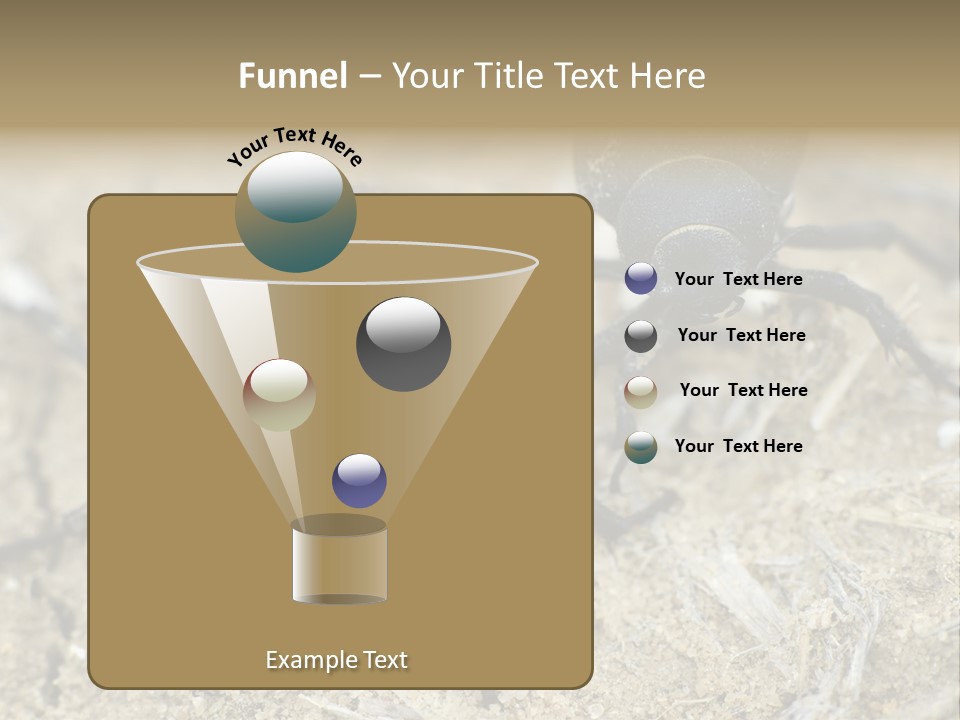 Wildlife Closeup Imago PowerPoint Template