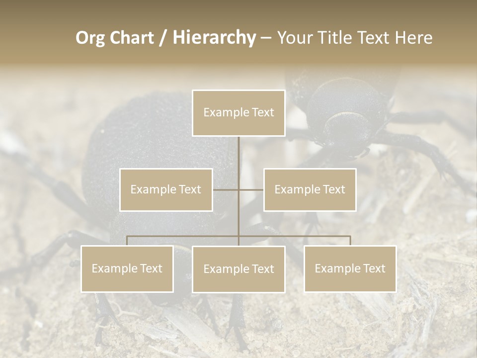 Wildlife Closeup Imago PowerPoint Template