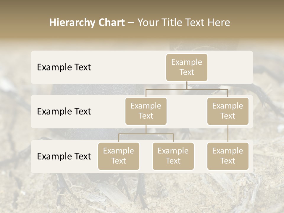 Wildlife Closeup Imago PowerPoint Template