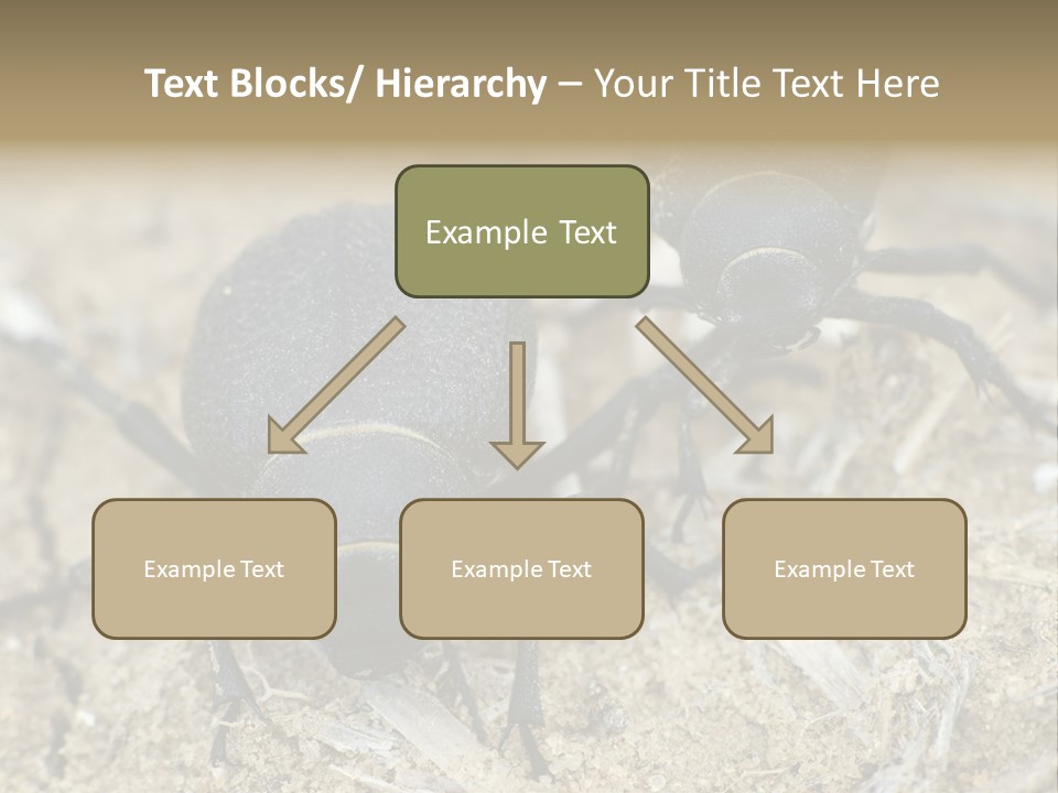 Wildlife Closeup Imago PowerPoint Template