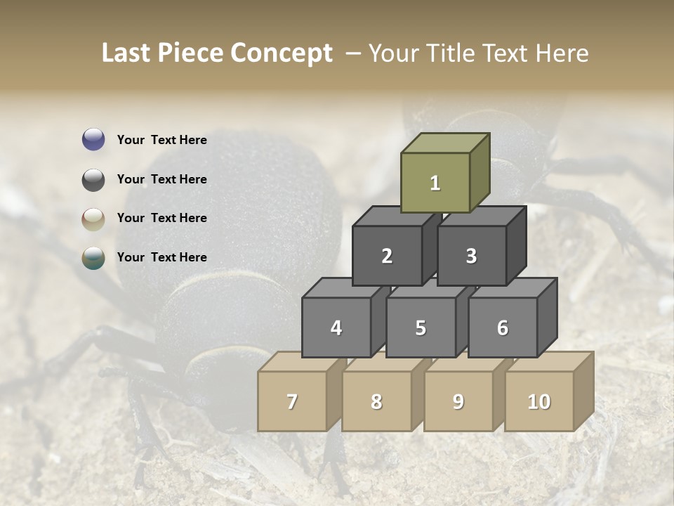 Wildlife Closeup Imago PowerPoint Template