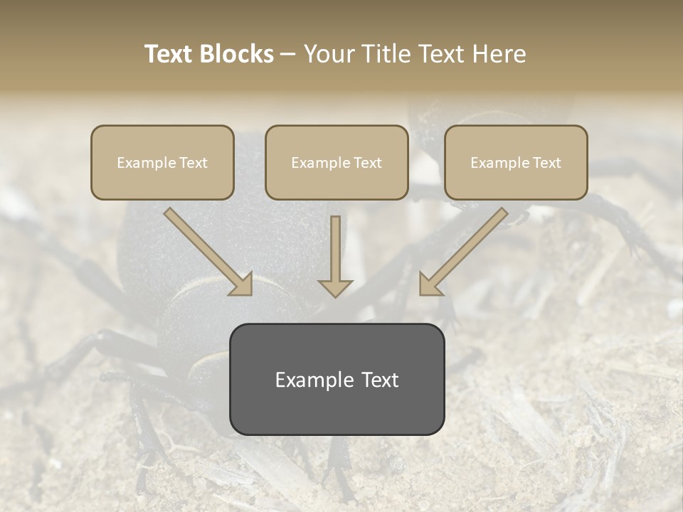 Wildlife Closeup Imago PowerPoint Template