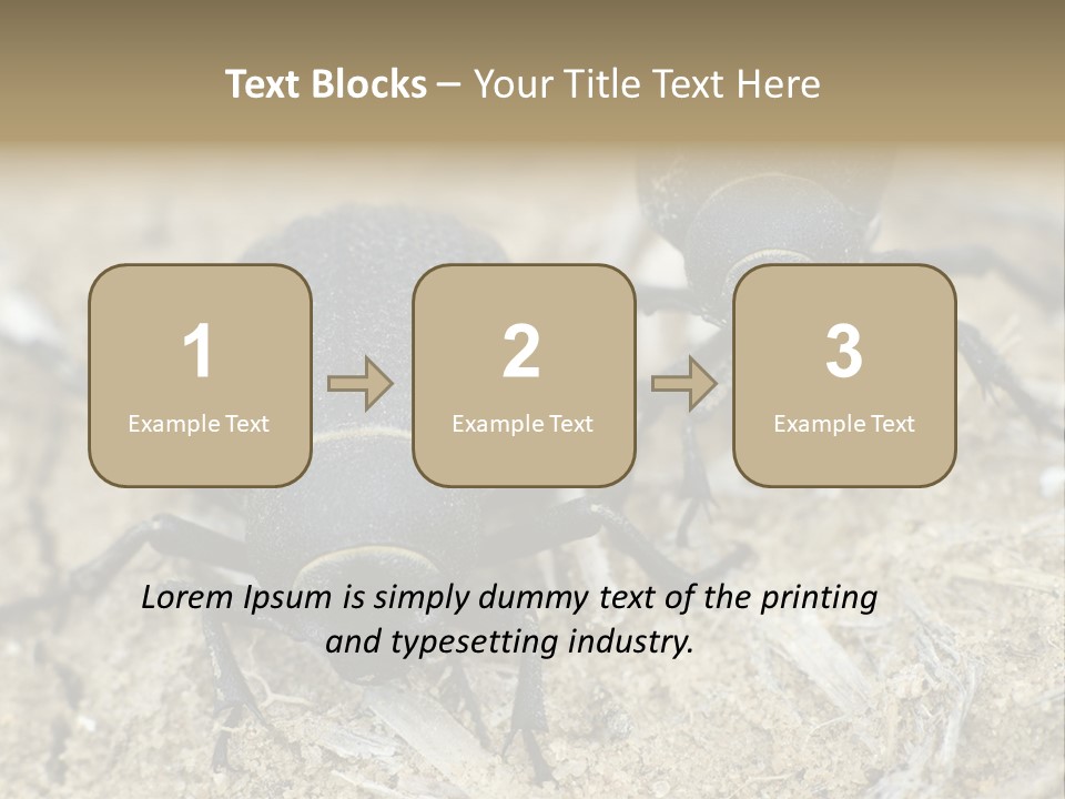 Wildlife Closeup Imago PowerPoint Template