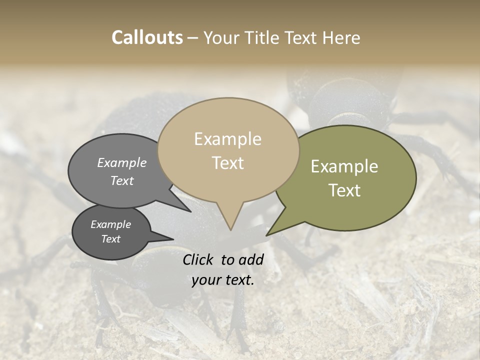 Wildlife Closeup Imago PowerPoint Template