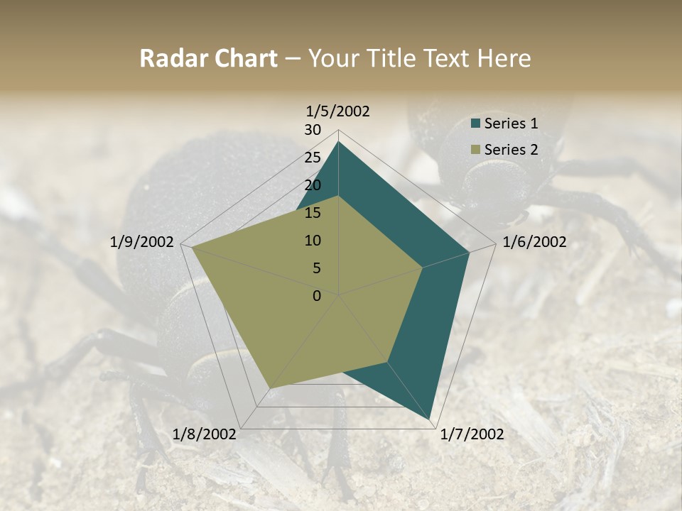 Wildlife Closeup Imago PowerPoint Template