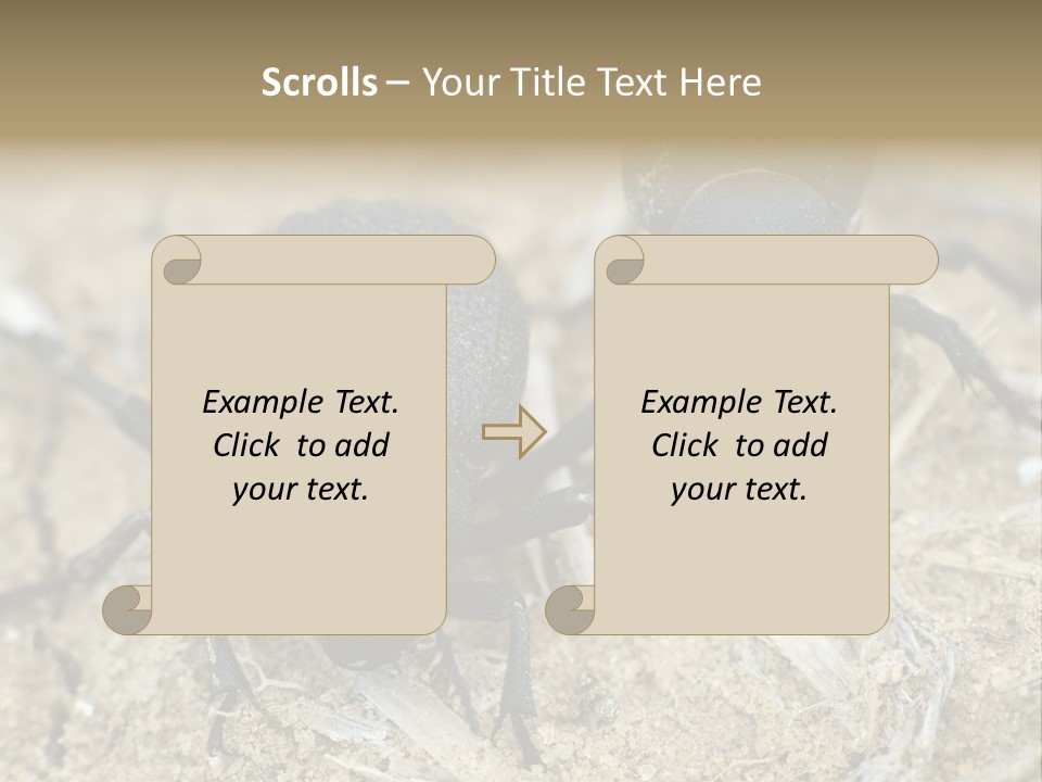 Wildlife Closeup Imago PowerPoint Template