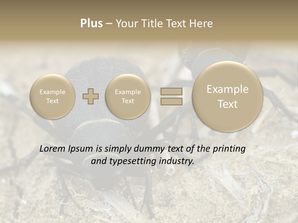 Wildlife Closeup Imago PowerPoint Template