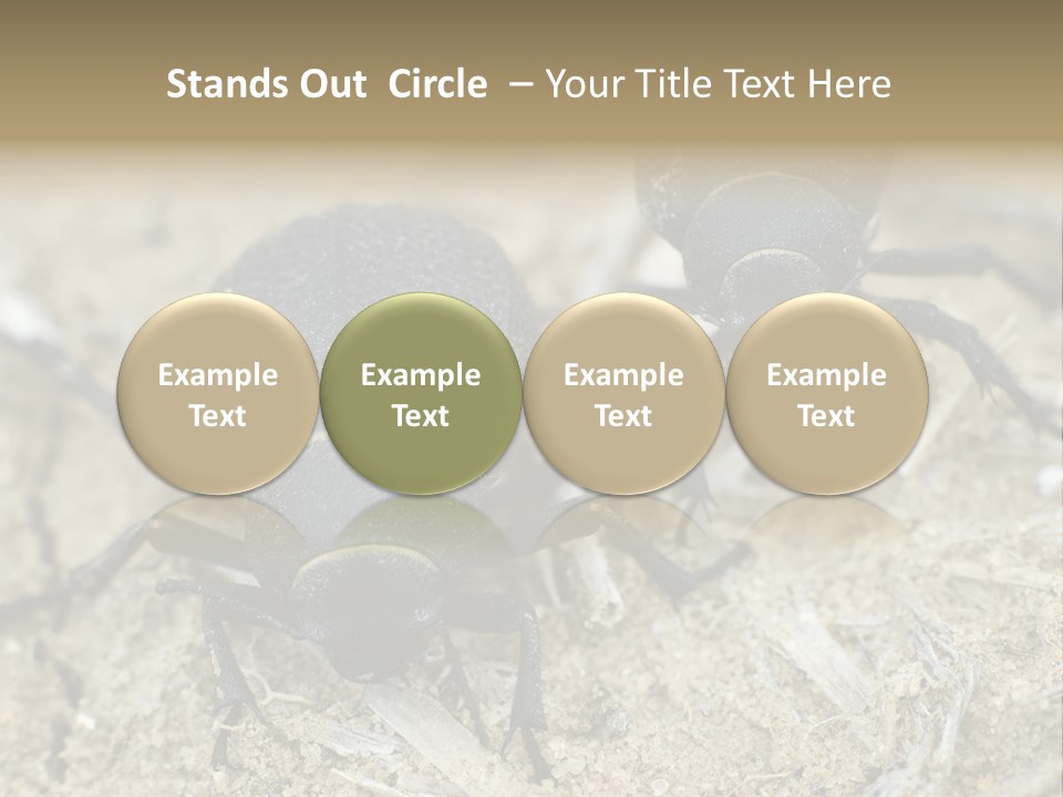 Wildlife Closeup Imago PowerPoint Template