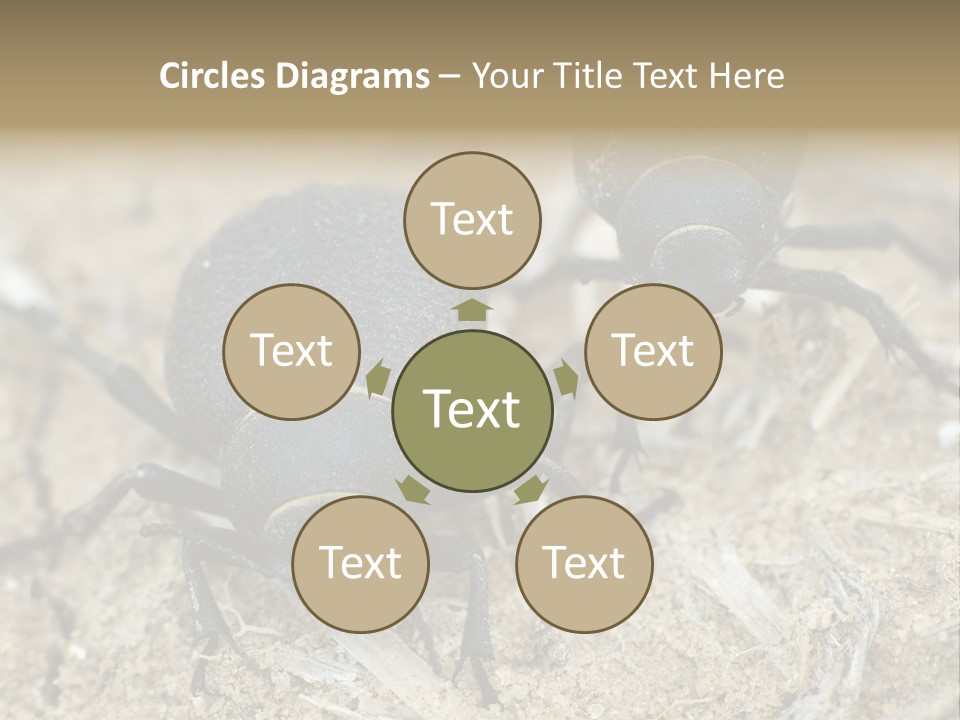 Wildlife Closeup Imago PowerPoint Template