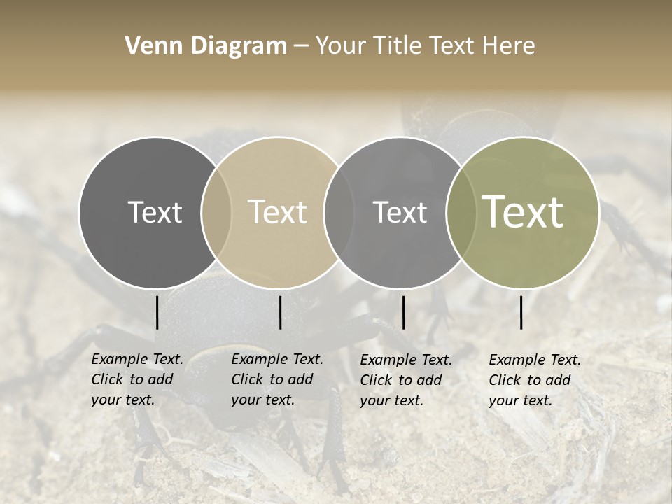 Wildlife Closeup Imago PowerPoint Template