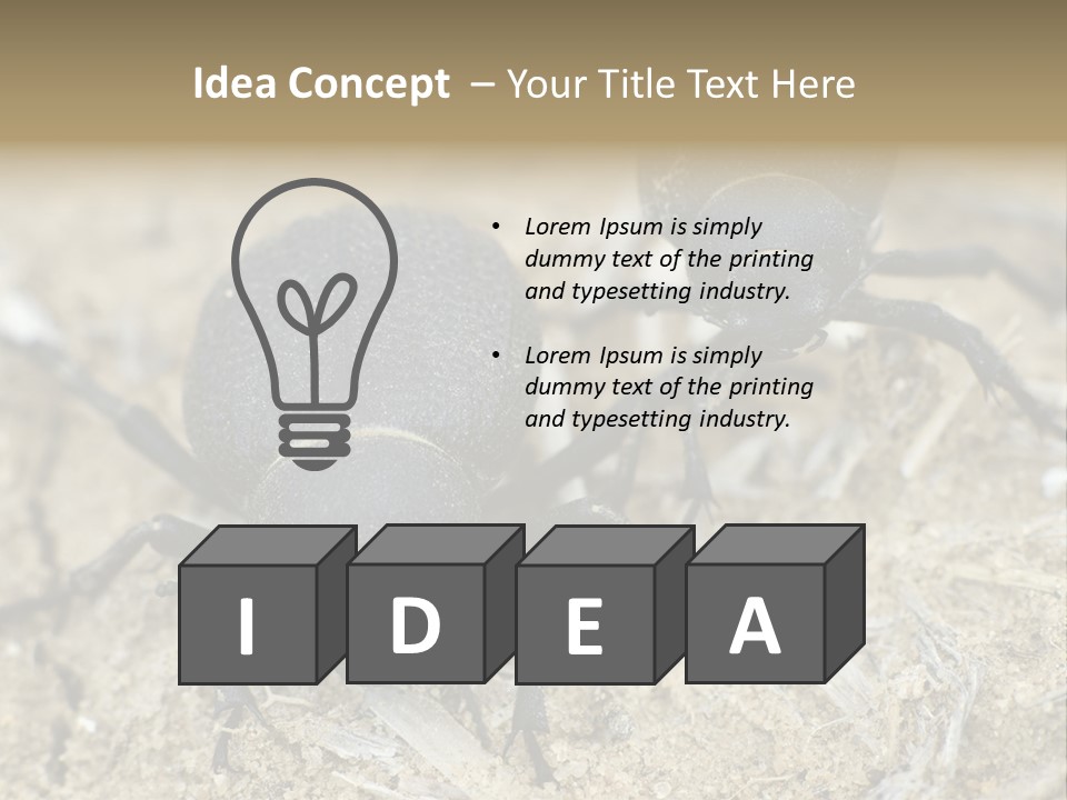 Wildlife Closeup Imago PowerPoint Template