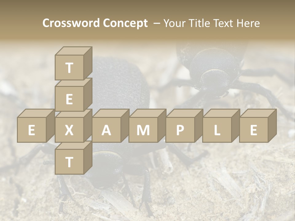 Wildlife Closeup Imago PowerPoint Template