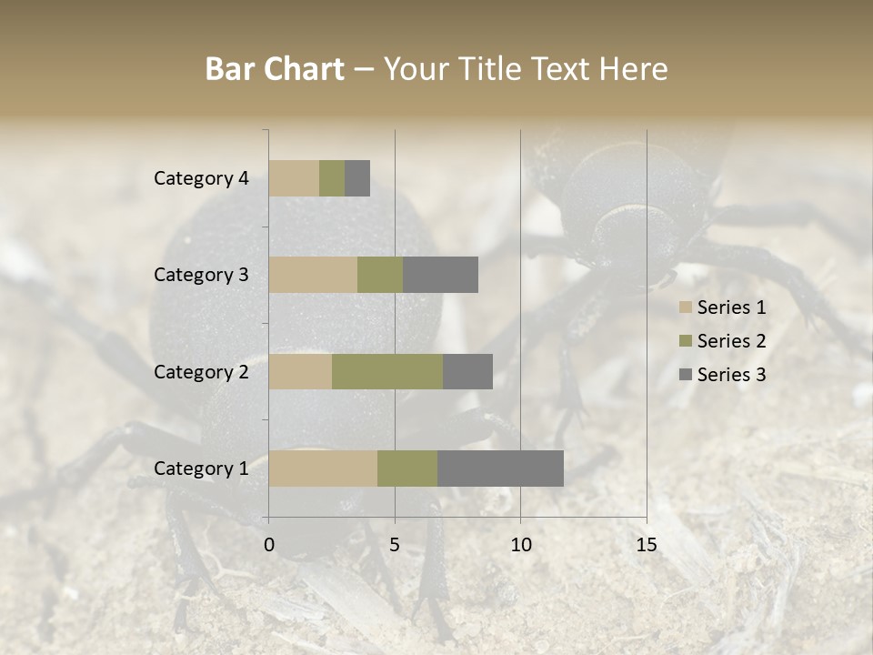 Wildlife Closeup Imago PowerPoint Template