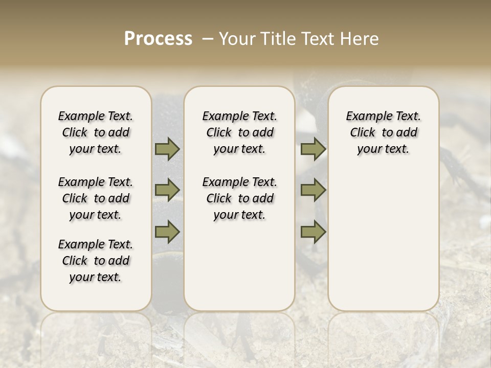 Wildlife Closeup Imago PowerPoint Template
