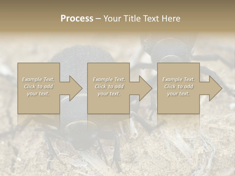 Wildlife Closeup Imago PowerPoint Template