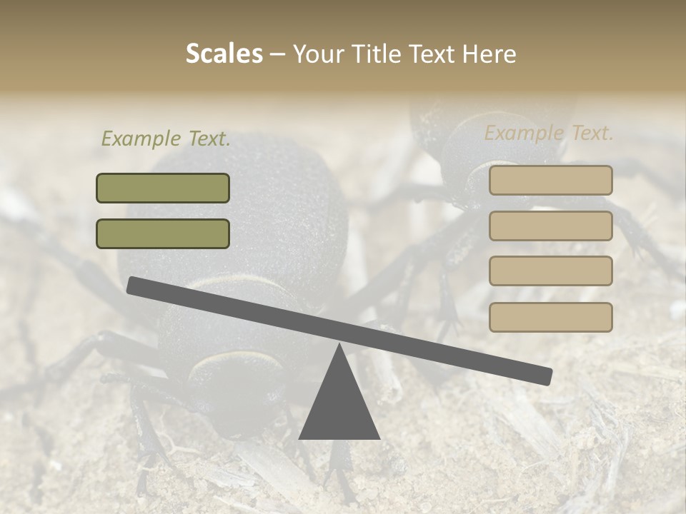 Wildlife Closeup Imago PowerPoint Template