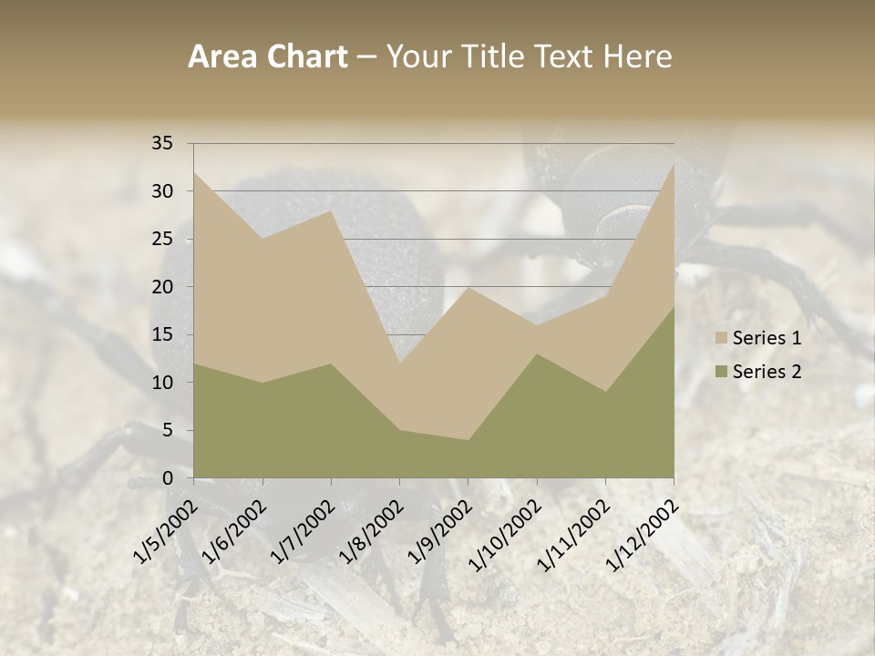 Wildlife Closeup Imago PowerPoint Template
