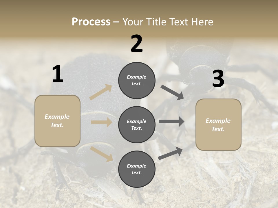 Wildlife Closeup Imago PowerPoint Template