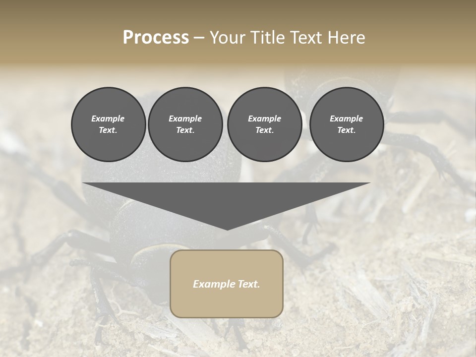 Wildlife Closeup Imago PowerPoint Template