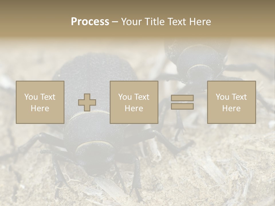 Wildlife Closeup Imago PowerPoint Template