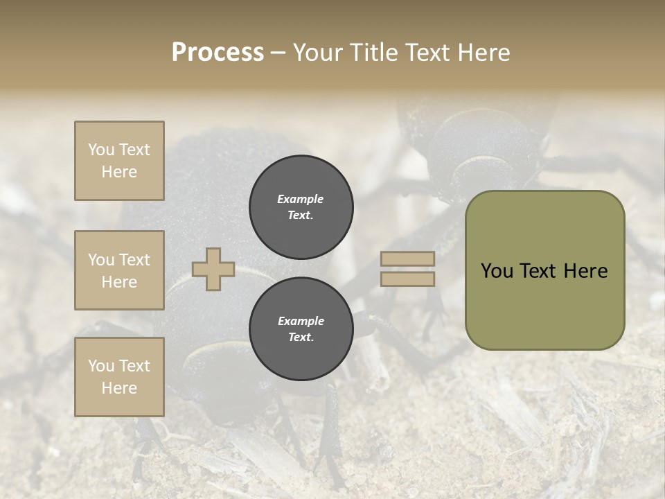 Wildlife Closeup Imago PowerPoint Template