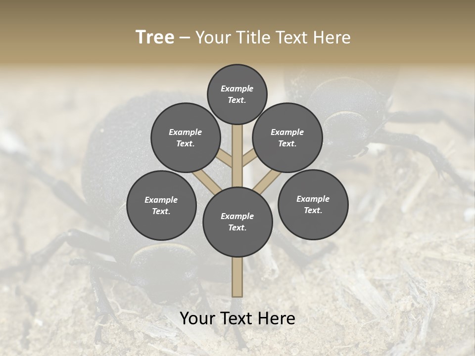 Wildlife Closeup Imago PowerPoint Template