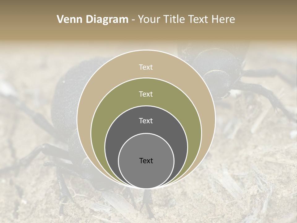 Wildlife Closeup Imago PowerPoint Template