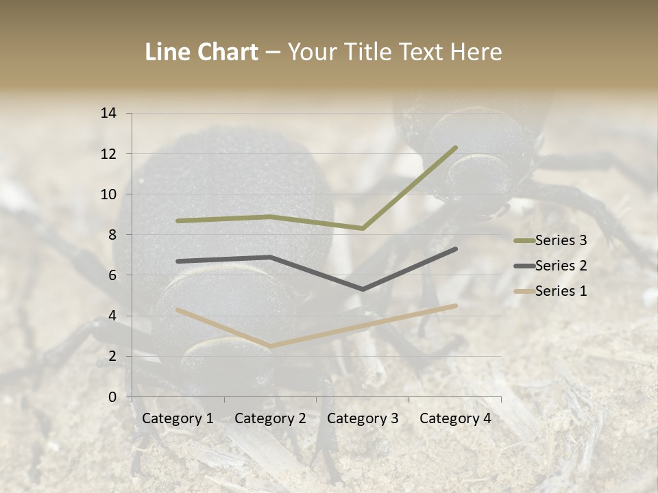 Wildlife Closeup Imago PowerPoint Template