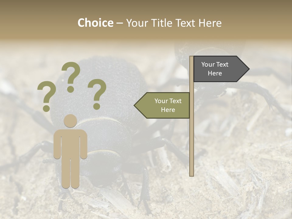 Wildlife Closeup Imago PowerPoint Template