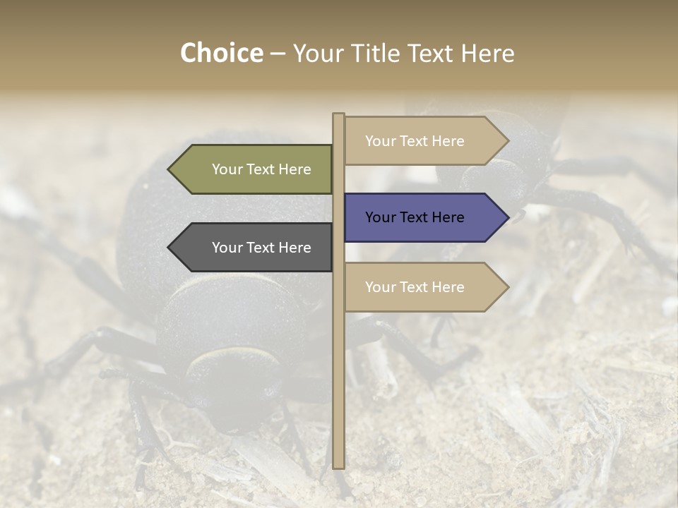 Wildlife Closeup Imago PowerPoint Template
