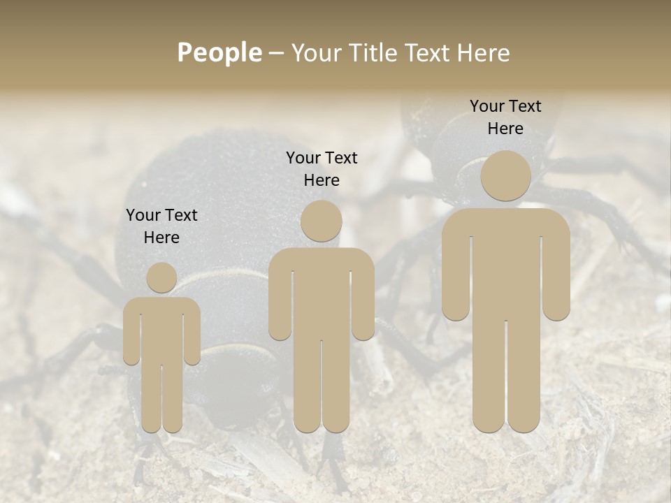 Wildlife Closeup Imago PowerPoint Template