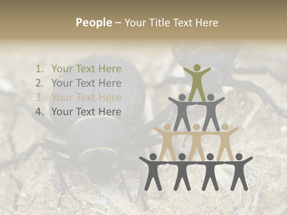 Wildlife Closeup Imago PowerPoint Template