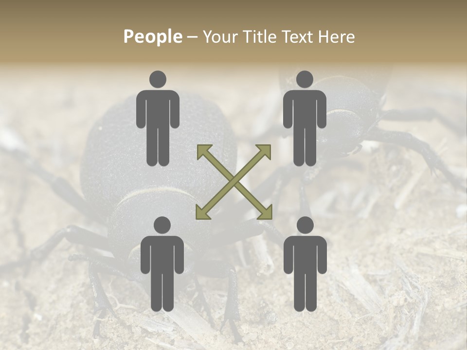 Wildlife Closeup Imago PowerPoint Template