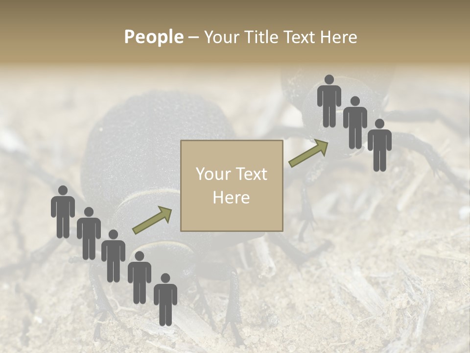 Wildlife Closeup Imago PowerPoint Template