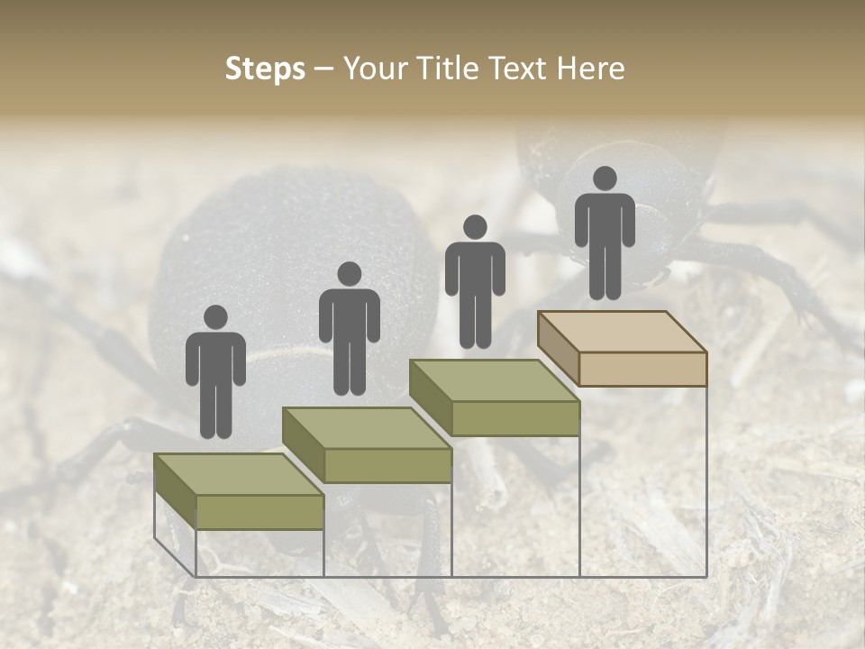 Wildlife Closeup Imago PowerPoint Template