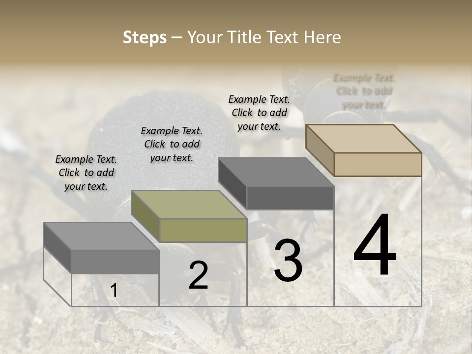 Wildlife Closeup Imago PowerPoint Template
