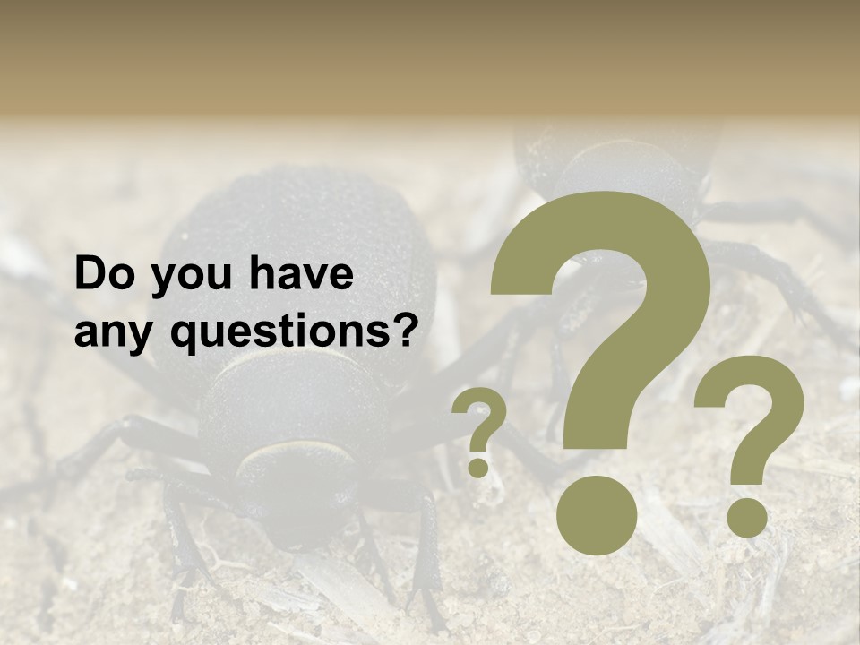 Wildlife Closeup Imago PowerPoint Template