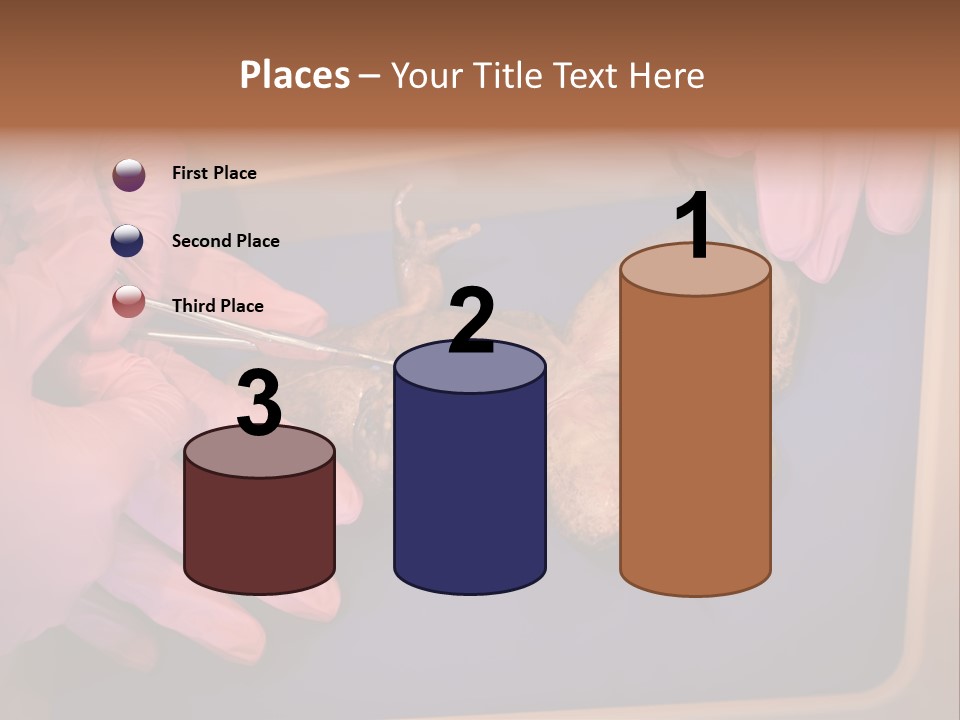 Creepy Swamp Squat PowerPoint Template