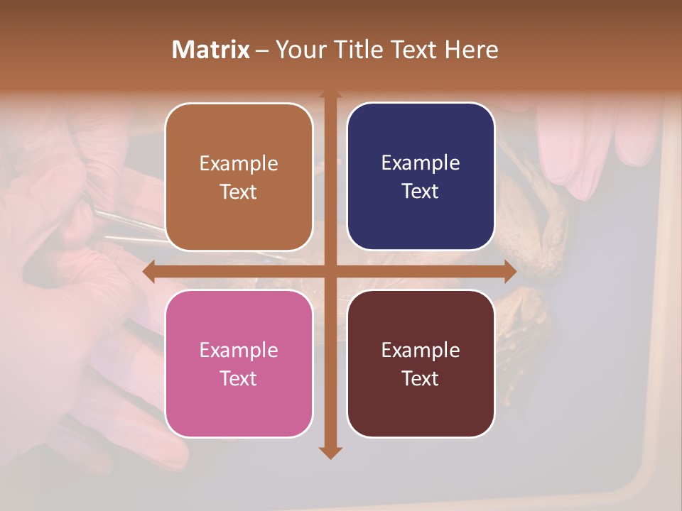 Creepy Swamp Squat PowerPoint Template