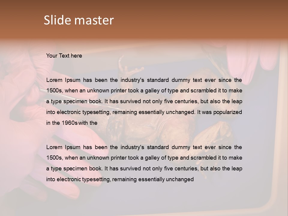 Creepy Swamp Squat PowerPoint Template