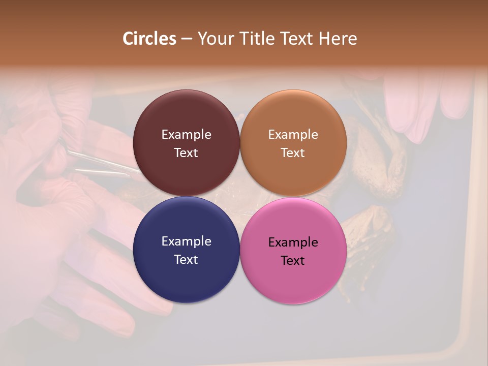 Creepy Swamp Squat PowerPoint Template