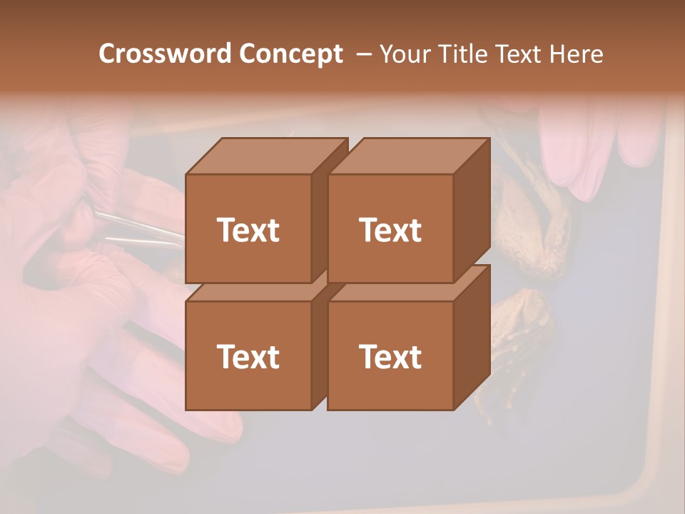 Creepy Swamp Squat PowerPoint Template