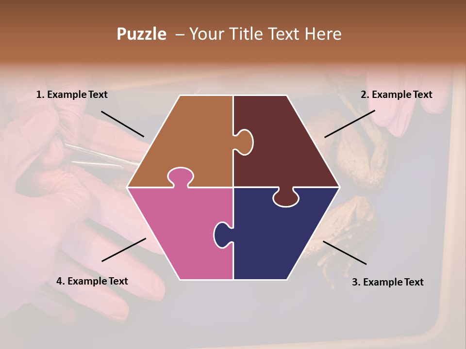 Creepy Swamp Squat PowerPoint Template