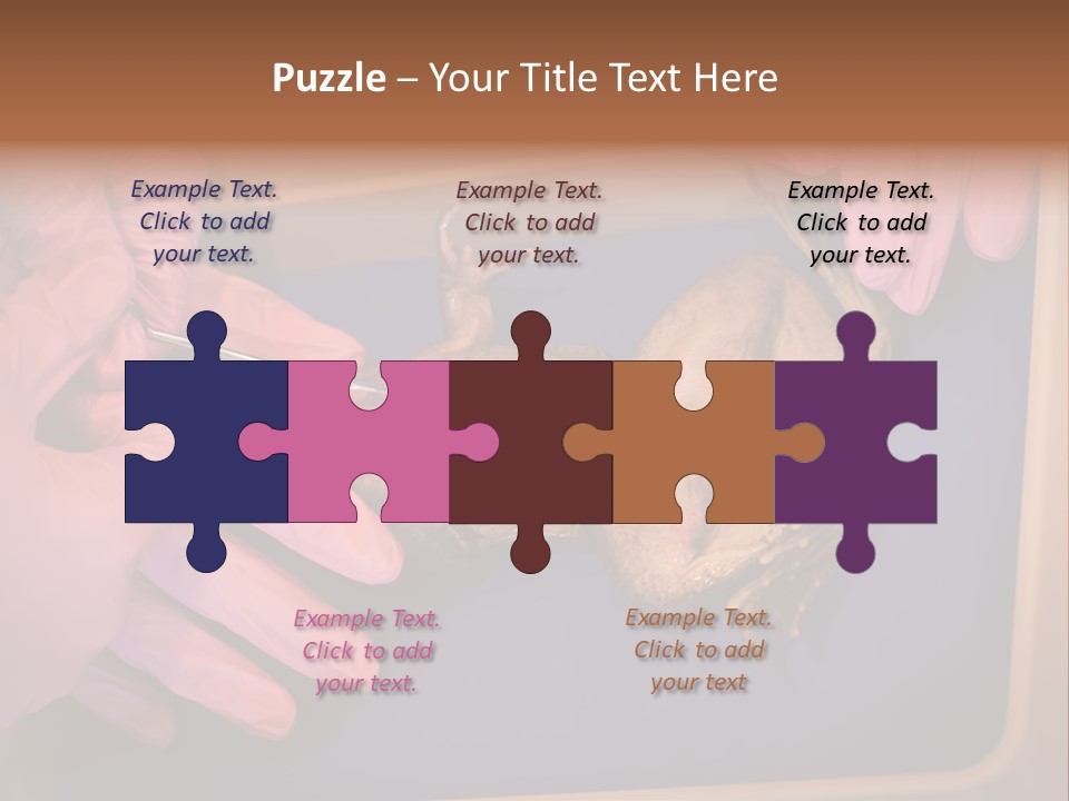 Creepy Swamp Squat PowerPoint Template