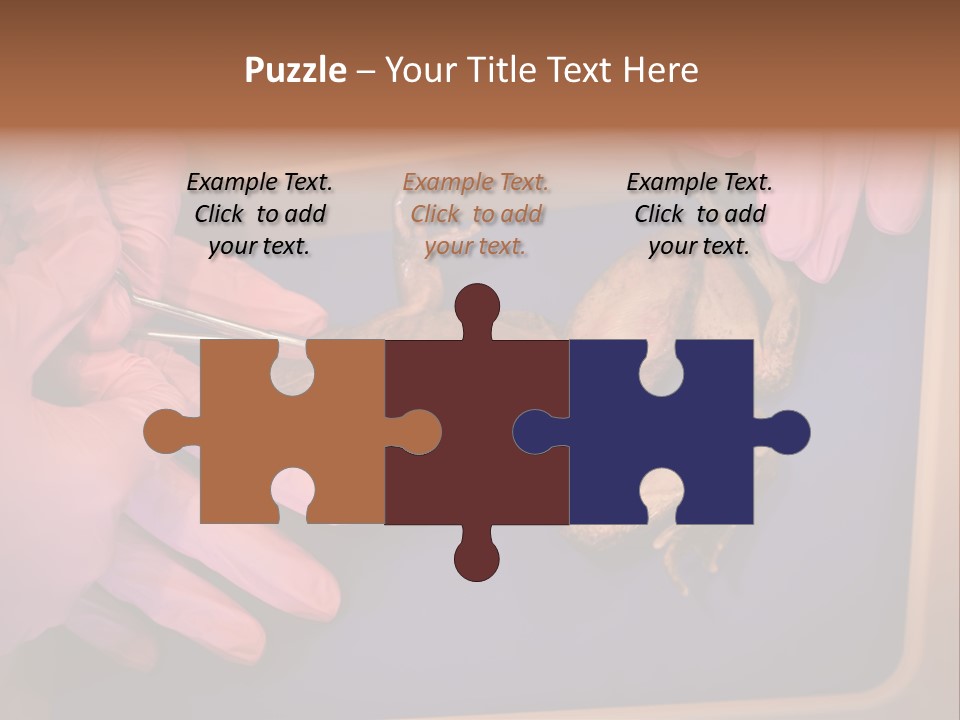 Creepy Swamp Squat PowerPoint Template