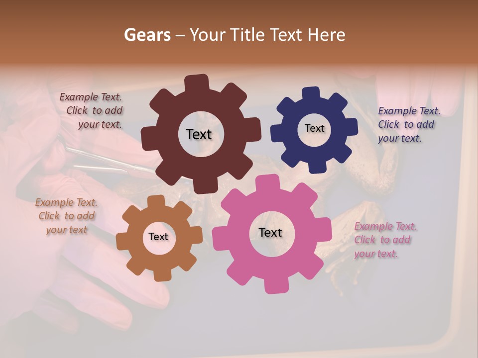 Creepy Swamp Squat PowerPoint Template