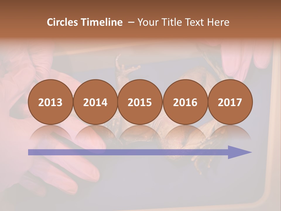 Creepy Swamp Squat PowerPoint Template