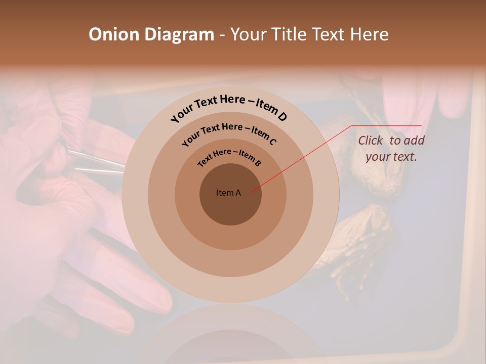 Creepy Swamp Squat PowerPoint Template
